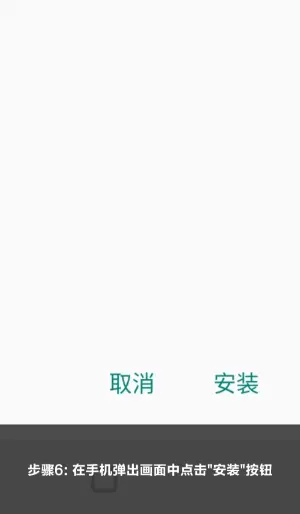 亚星平台安装步骤6：点击安装按钮